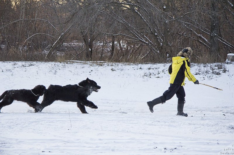 Фотография № 144934