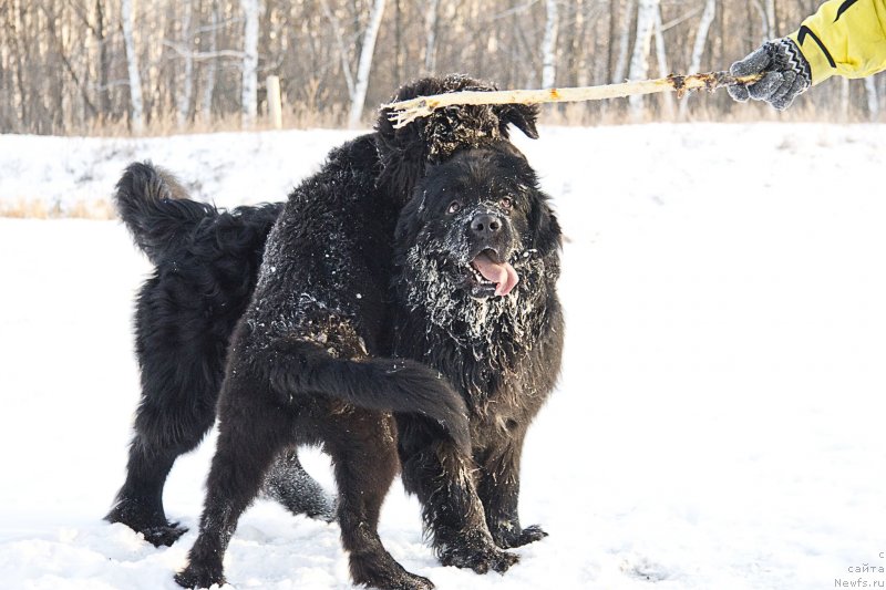 Фотография № 144936