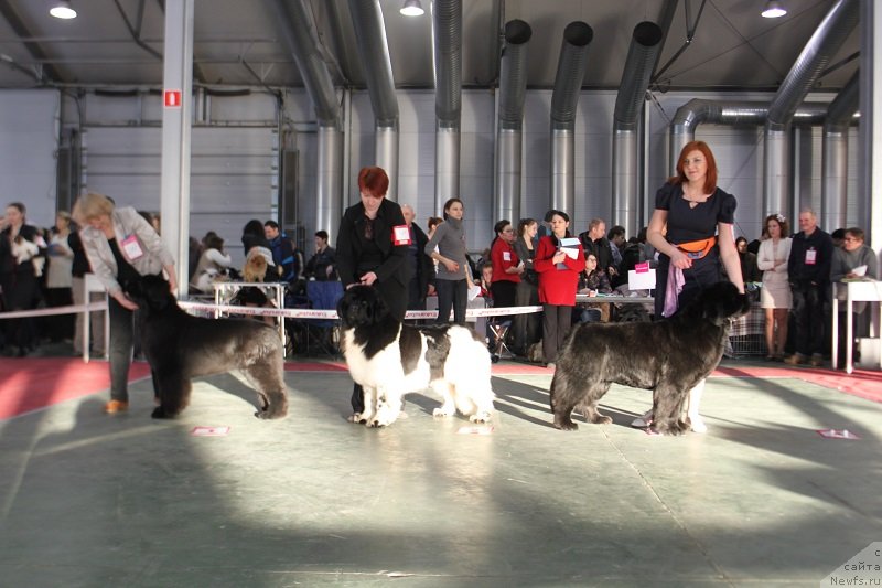 Фотография № 144937