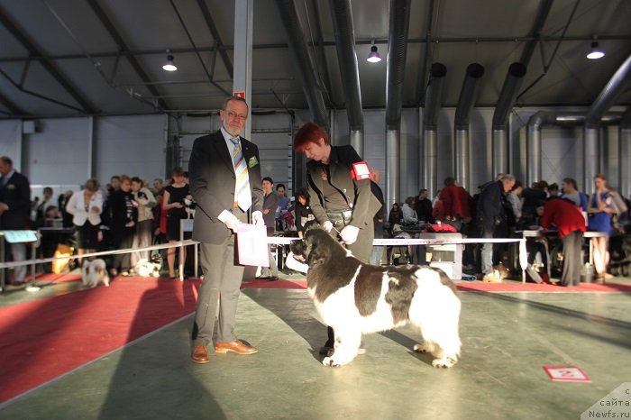 Фотография № 144939