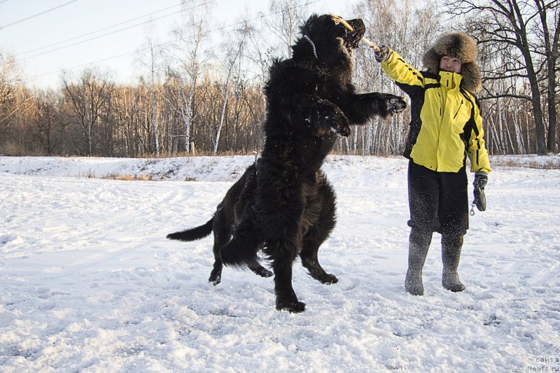 Фотография № 144940