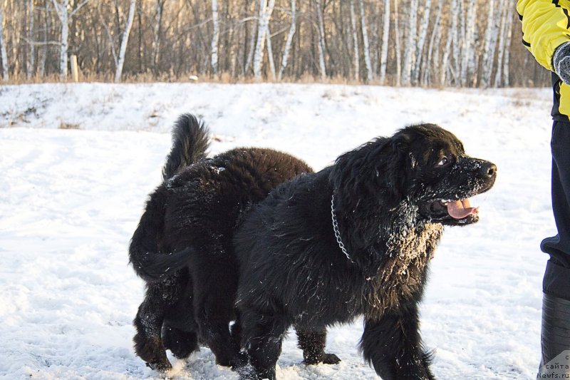 Фотография № 144943