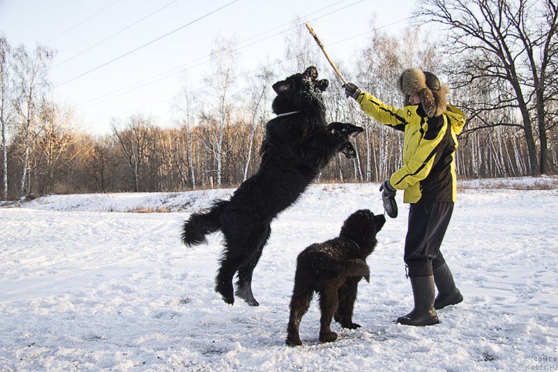 Фотография № 144944