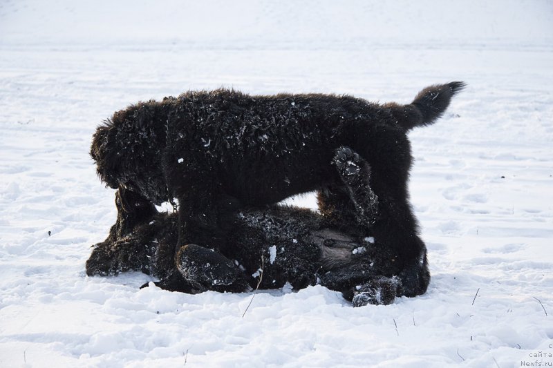 Фотография № 144948