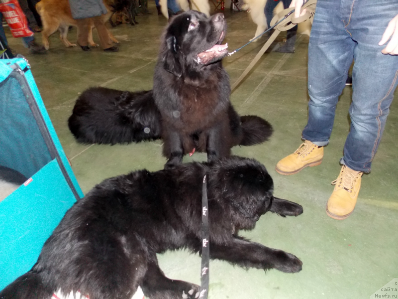 Фотография № 144949