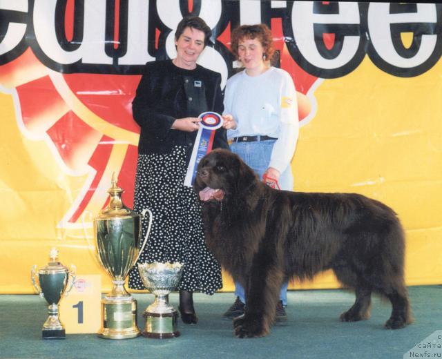 Фото: ньюфаундленд Смигар Афанасий (Smigar Afanasiy), Любовь Жакова, эксперт Juliet Leicester-Hope (Wanitopa kennel, GB)