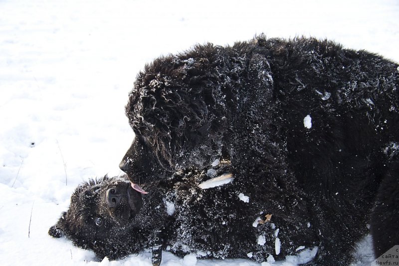 Фотография № 144953