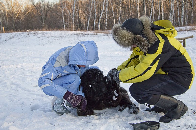 Фотография № 144954