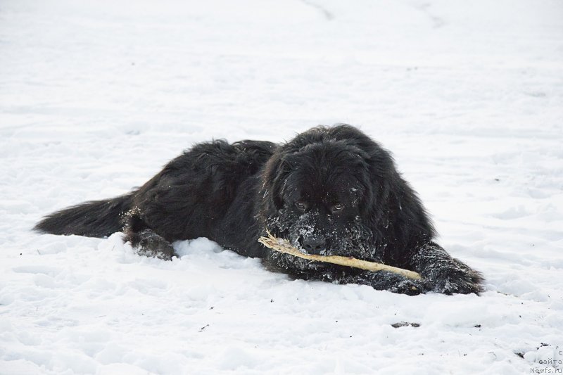 Фотография № 144955