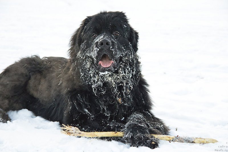 Фотография № 144956