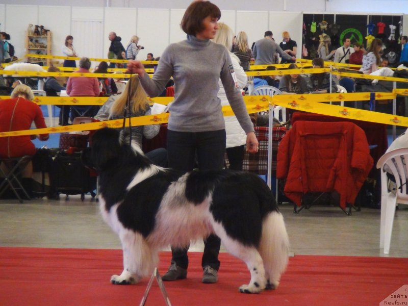 Фотография № 144984