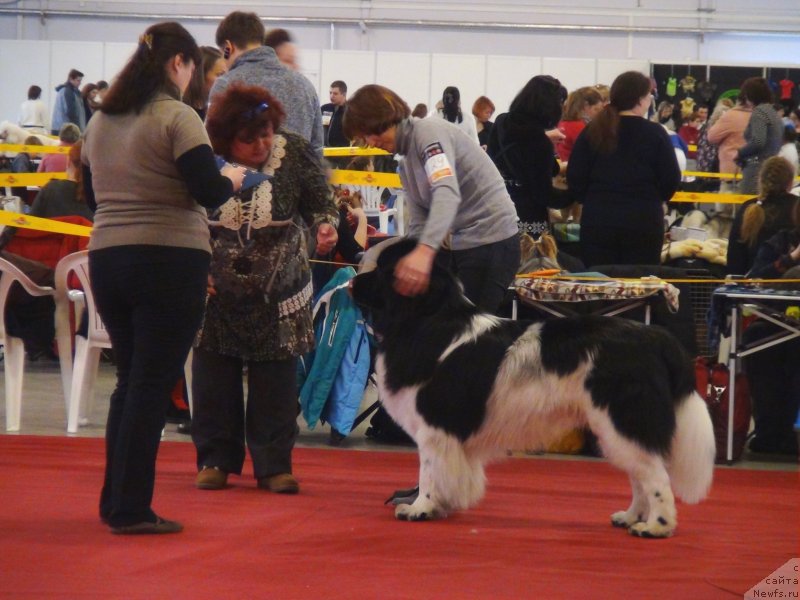 Фотография № 144985