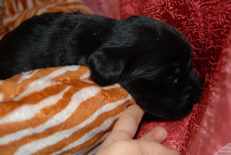 Фотография № 144996