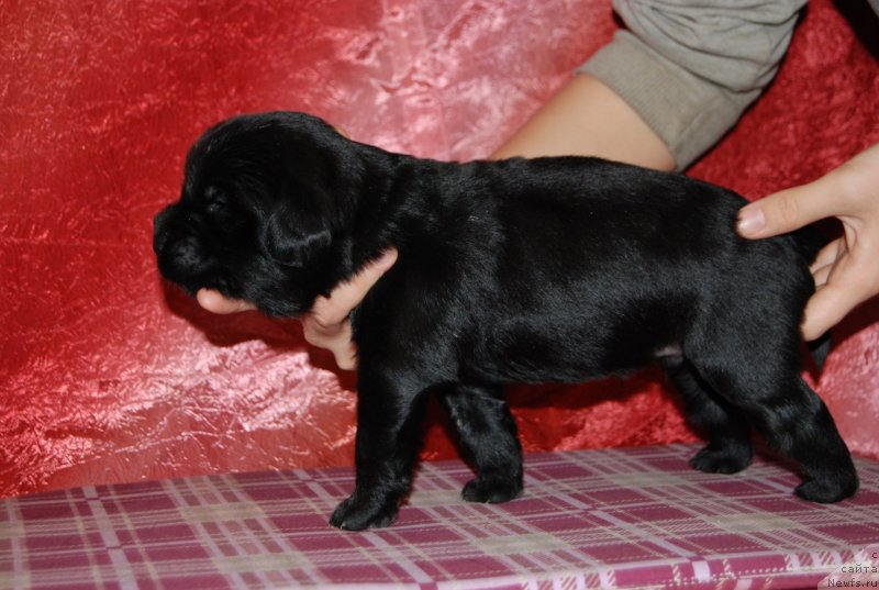 Фотография № 144999