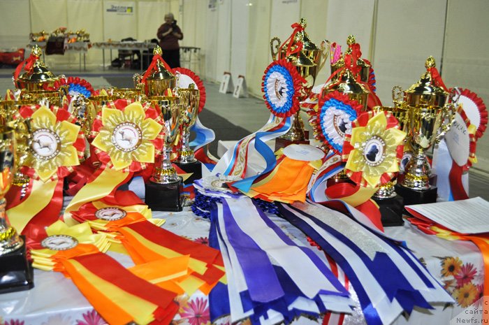 Фотография № 145036