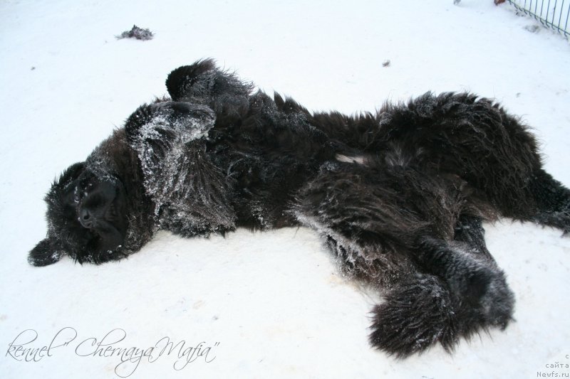 Фотография № 145045