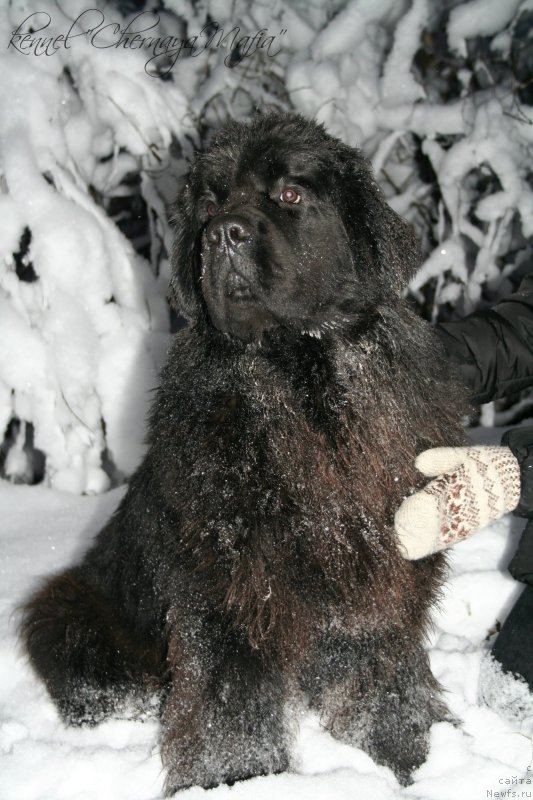 Фотография № 145057