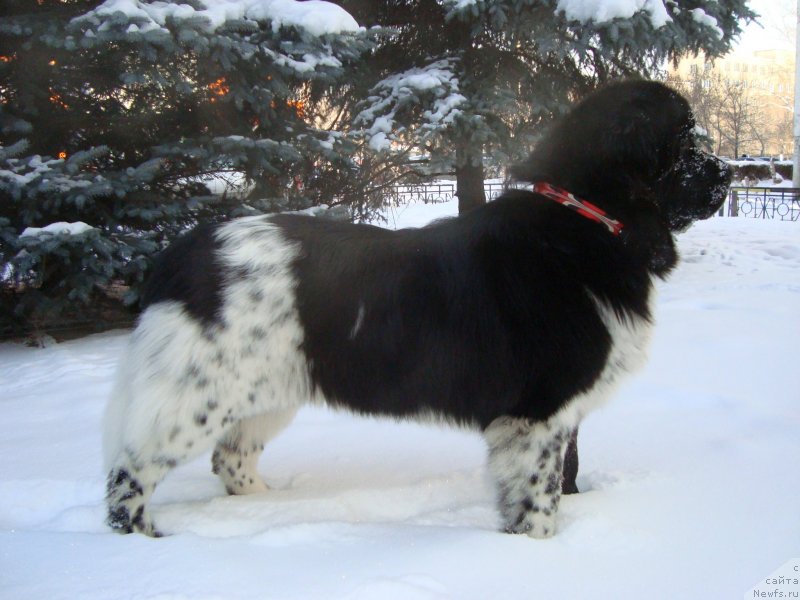 Фото: Нина Тюрикова