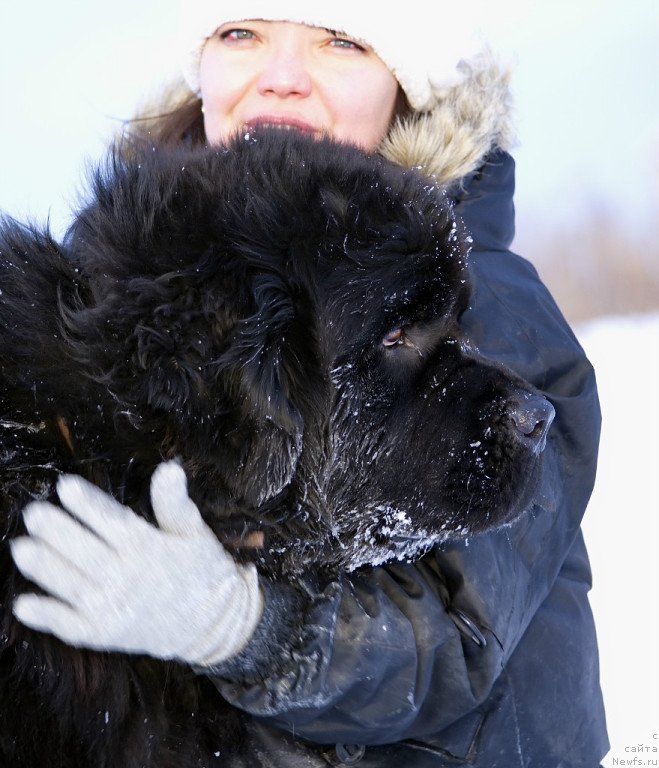 Фото: Евгения Антипина, ньюфаундленд Риф из Племени Кедра