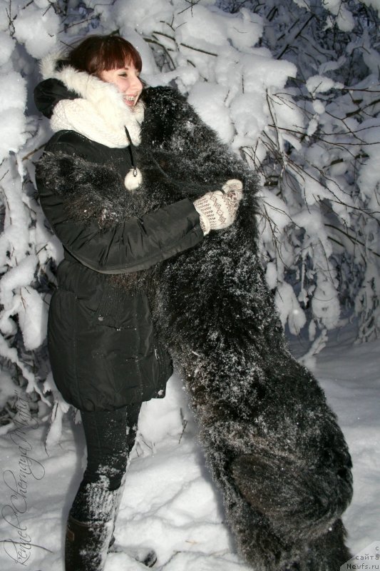 Фотография № 145079