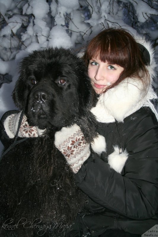 Фотография № 145083