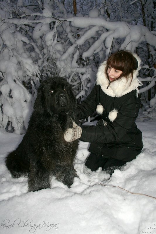 Фотография № 145089