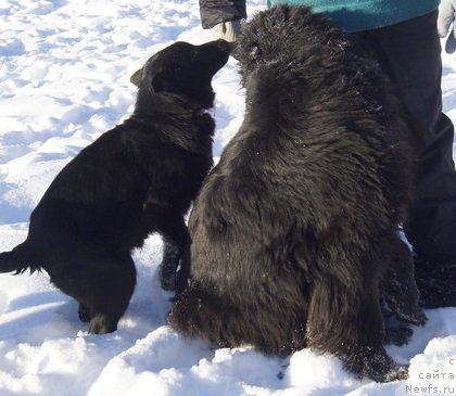 Фотография № 145092