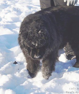 Фотография № 145093