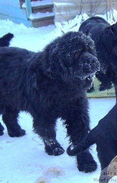 Фотография № 145097