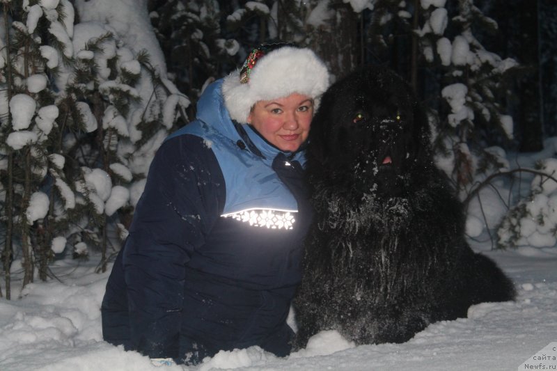 Фотография № 145102