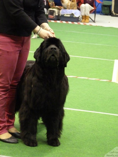 Фотография № 145147