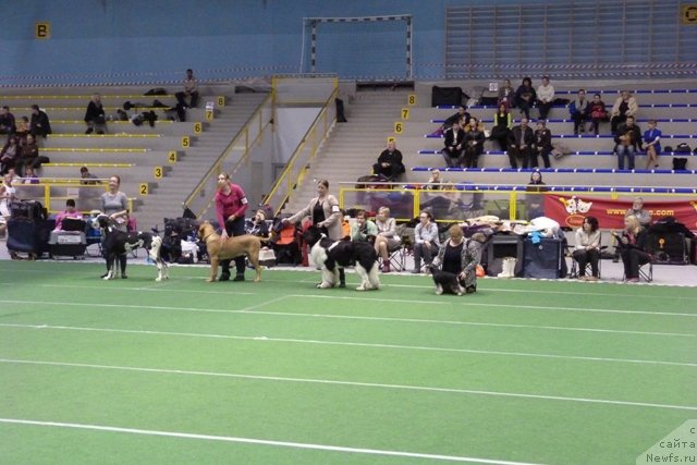 Фотография № 145154