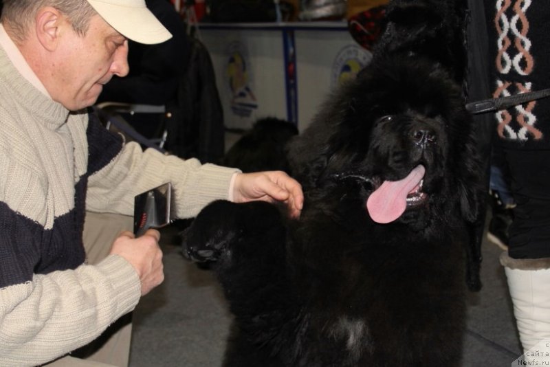 Фотография № 145158