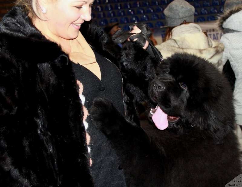 Фотография № 145161