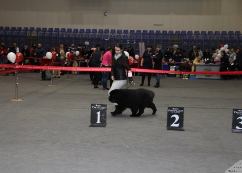 Фотография № 145163