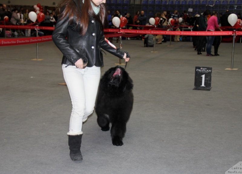 Фотография № 145164