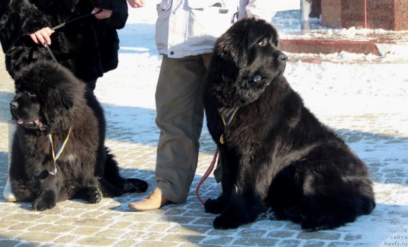 Фотография № 145183