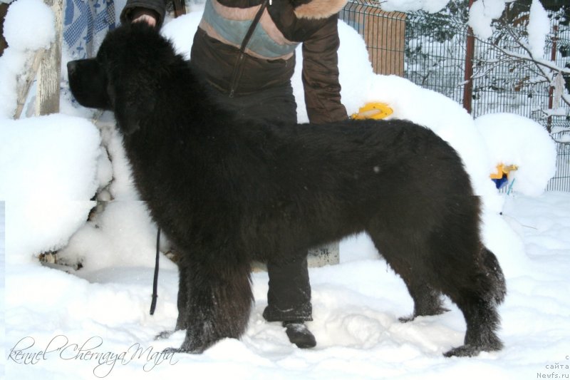 Фотография № 145200