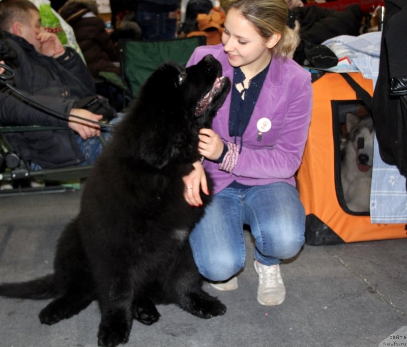 Фотография № 145275