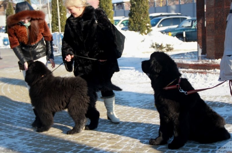 Фотография № 145276