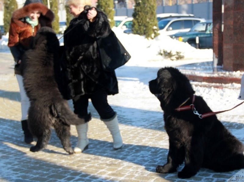 Фотография № 145277