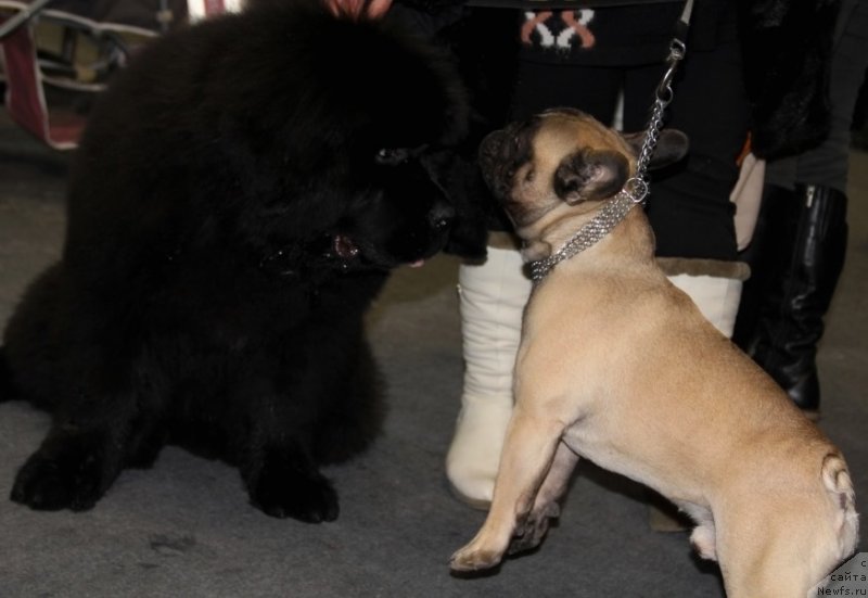 Фотография № 145278