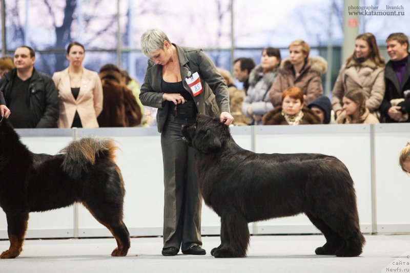 Фотография № 145279