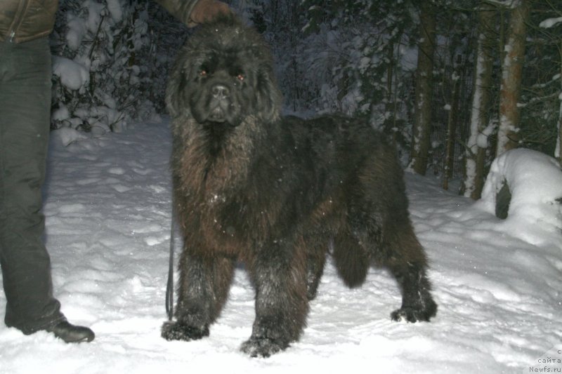 Фотография № 145280