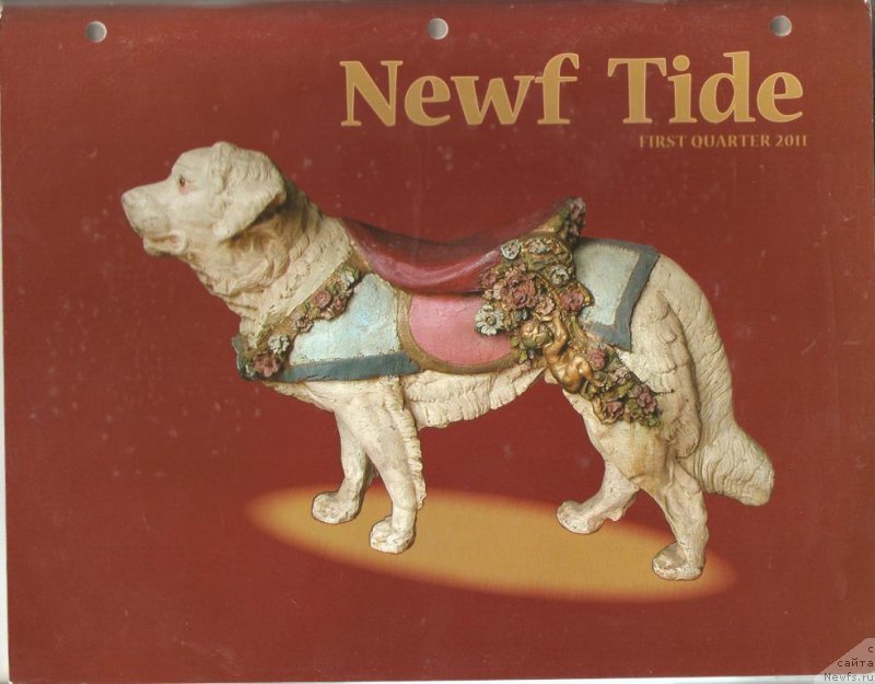 Фотография № 145297