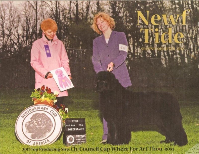 Фотография № 145299