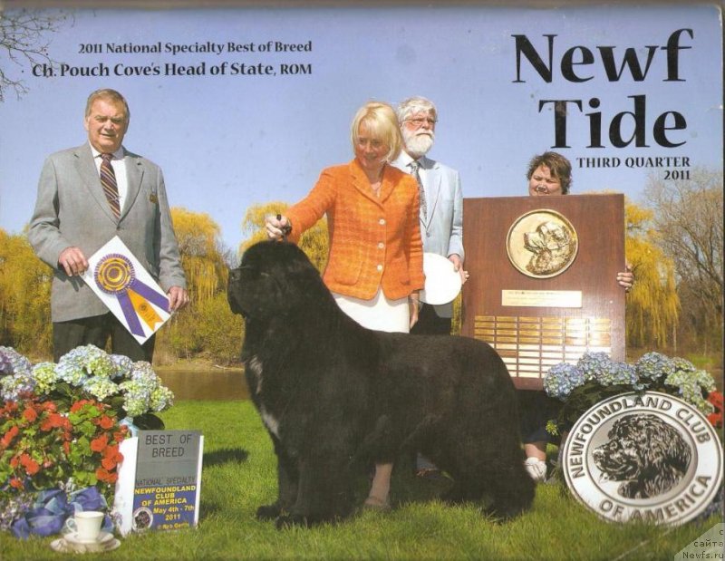 Фотография № 145302