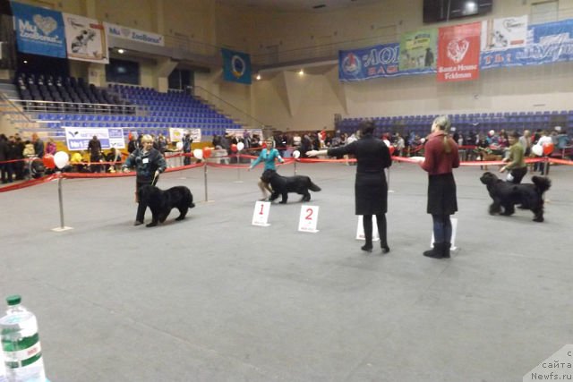 Фотография № 145331