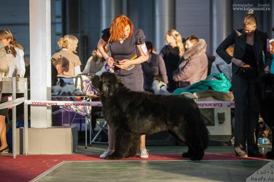 Фотография № 145354