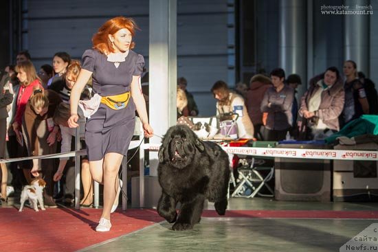 Фото: ньюфаундленд Thickish Newfoundland Waterfall Land's Only